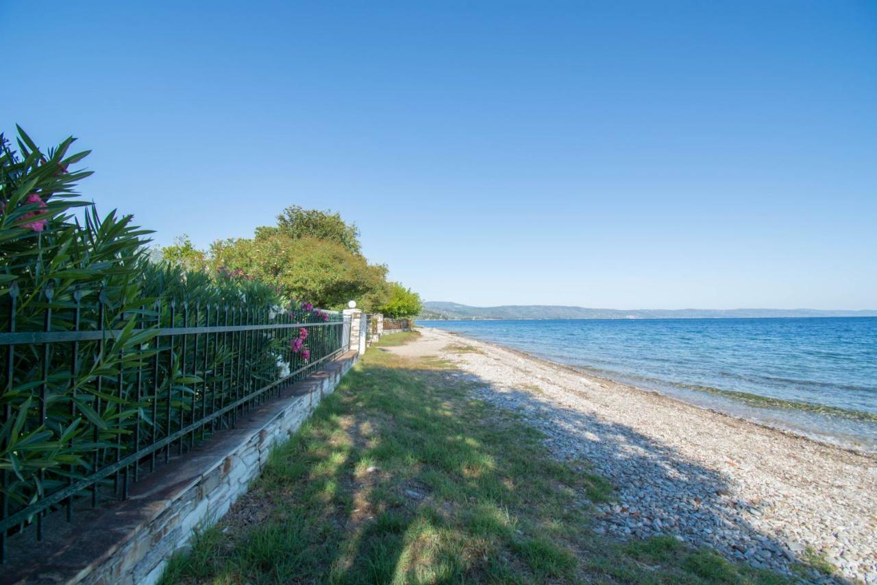 Romantic Seafront Studio - Dream Garden Platanidia Dış mekan fotoğraf